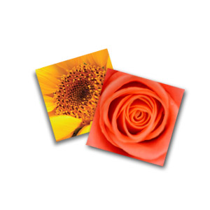 Order Photo Prints Using Your Smartphone